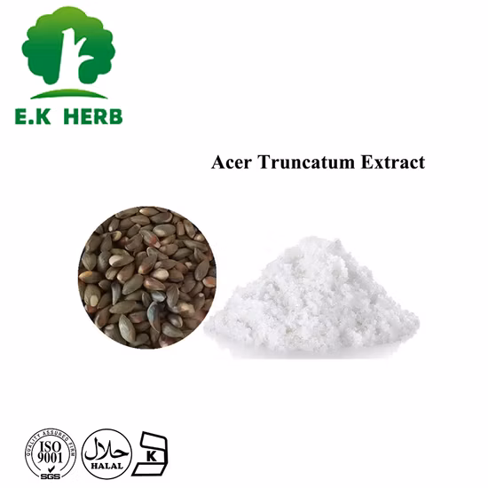 Suplemento dietético Polvo de ácido nervónico